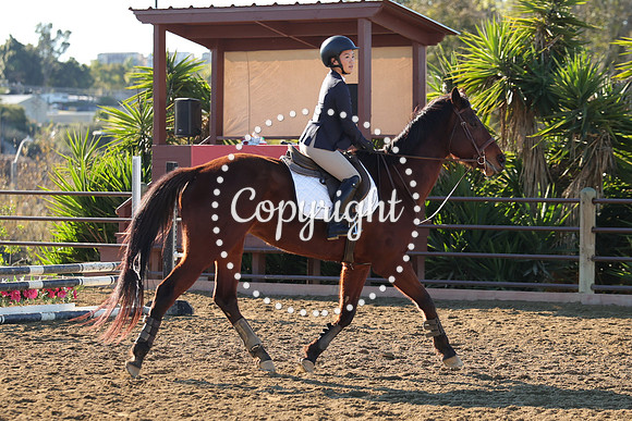 IMG_1890CRD1