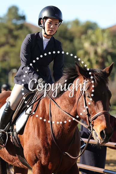 IMG_1914CRD1