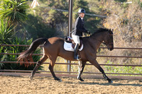 IMG_2235CRD1