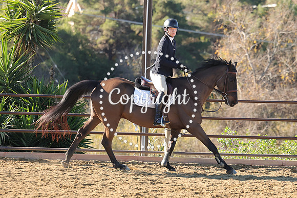 IMG_2235CRD1