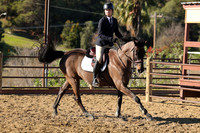 IMG_2242CRD1