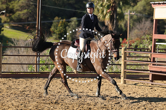 IMG_2242CRD1