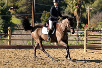 IMG_2240CRD1