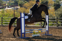 IMG_2250CRD1