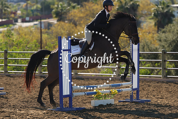 IMG_2250CRD1