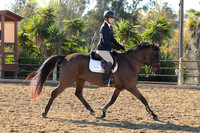 IMG_2272CRD1