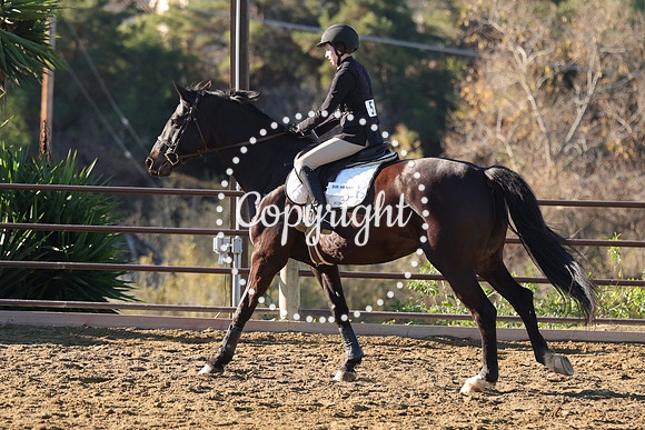 IMG_1634CRD1