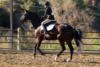 IMG_1629CRD1