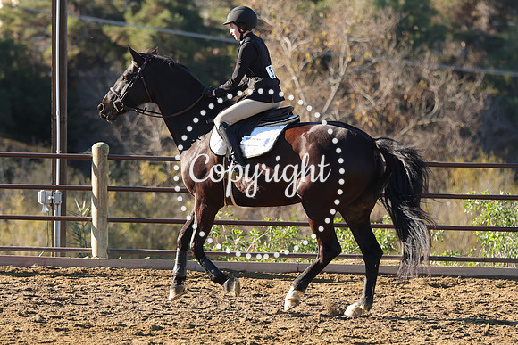 IMG_1629CRD1