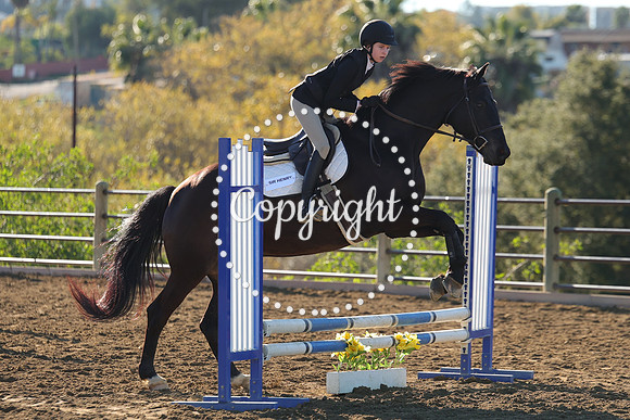 IMG_1652CRD1
