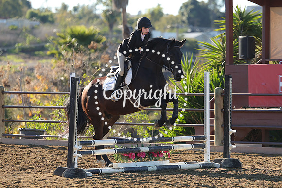 IMG_1663CRD1