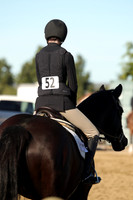 IMG_1685CRD1