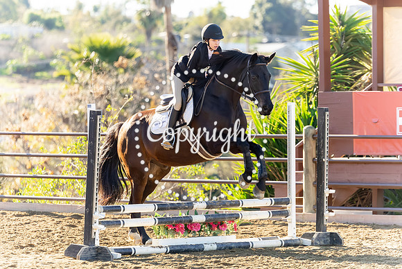 IMG_1664CRD1