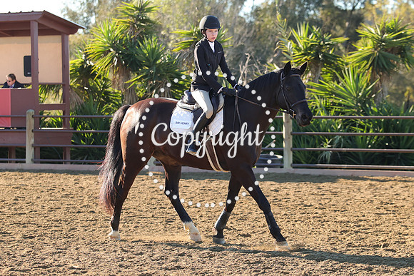 IMG_1683CRD1