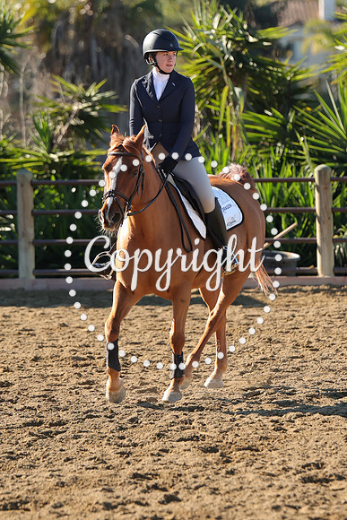 IMG_2495CRD1
