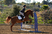 IMG_2504CRD1