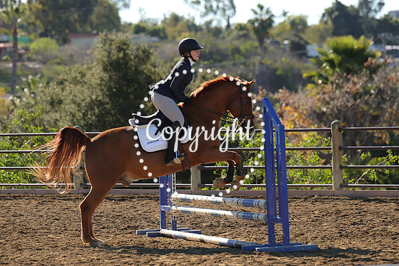 IMG_2504CRD1