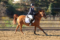 IMG_2510CRD1