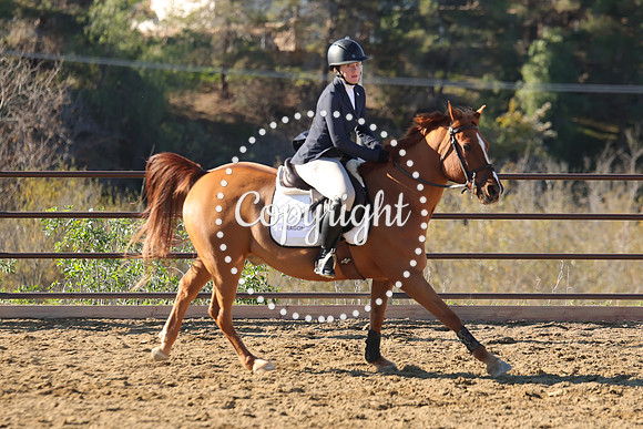 IMG_2510CRD1