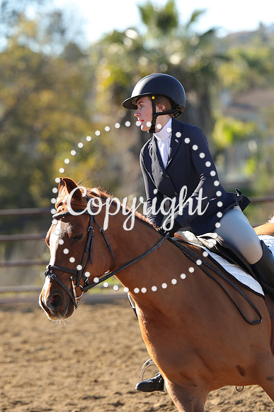 IMG_2524CRD1