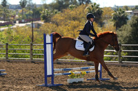 IMG_2521CRD1