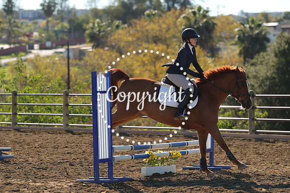 IMG_2521CRD1