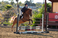 IMG_2527CRD1
