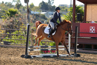 IMG_2531CRD1