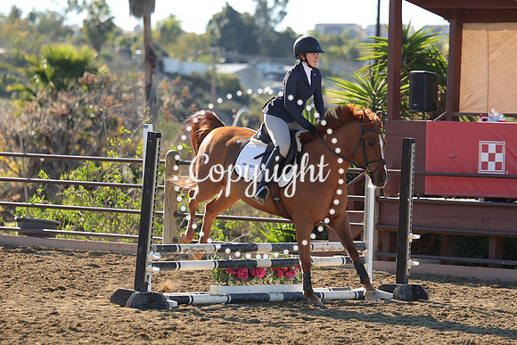 IMG_2531CRD1