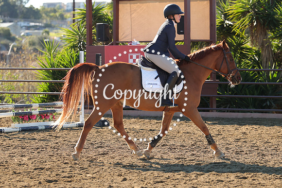 IMG_2536CRD1