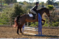 IMG_2384CRD1