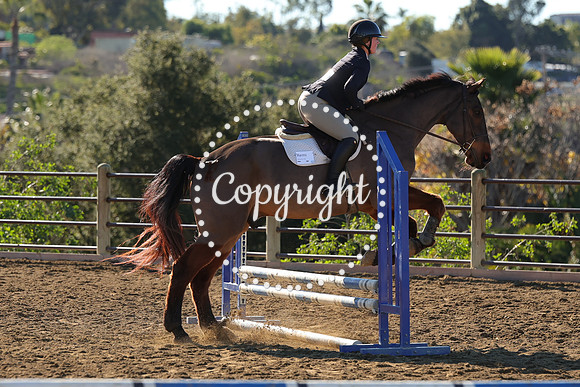 IMG_2384CRD1