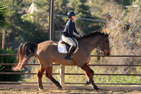IMG_2392CRD1