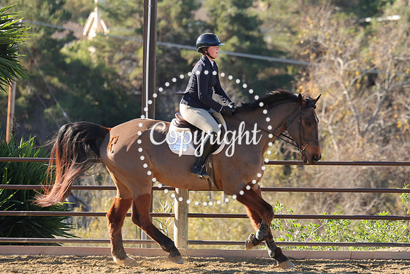IMG_2392CRD1
