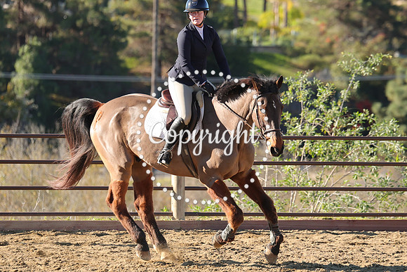 IMG_2399CRD1