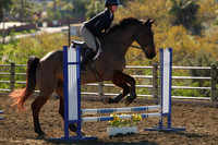 IMG_2405CRD1