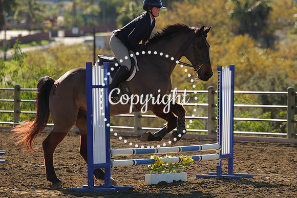 IMG_2405CRD1