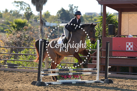 IMG_2420CRD1