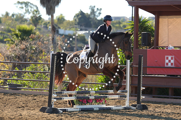 IMG_2421CRD1