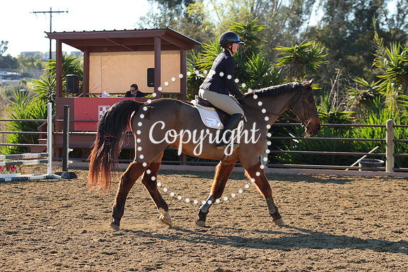 IMG_2431CRD1