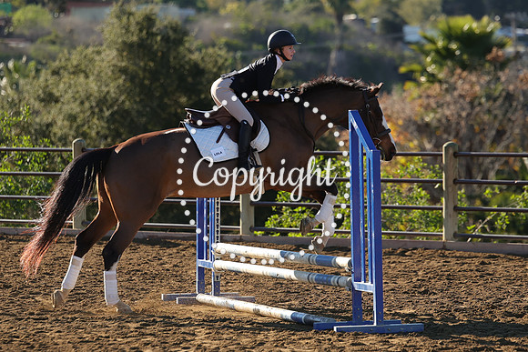 IMG_1479CRD1