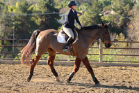 IMG_2444CRD1