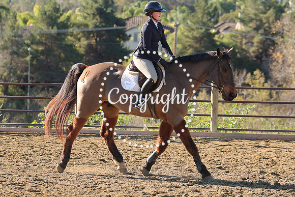 IMG_2444CRD1