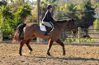 IMG_2439CRD1