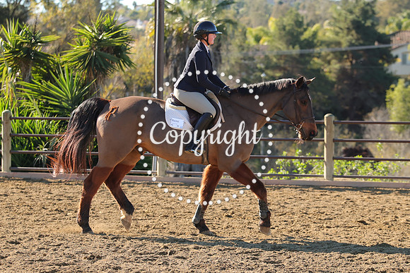 IMG_2439CRD1