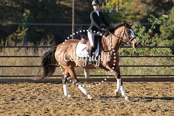 IMG_1487CRD1