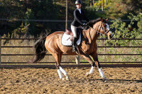 IMG_1486CRD1
