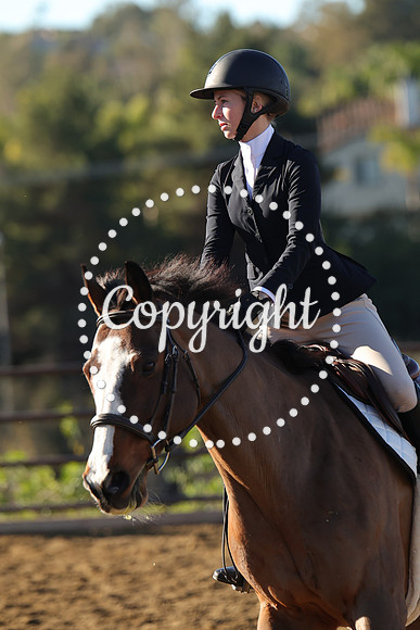 IMG_1499CRD1