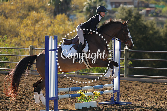 IMG_1496CRD1