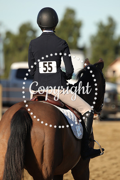 IMG_1527CRD1